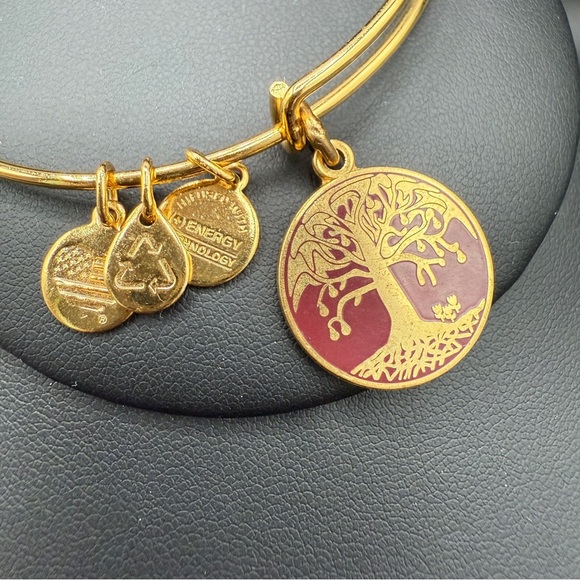 Alex and Ani Tree of Life 2015 Charm Bangle Bracelet - Picture 8 of 10